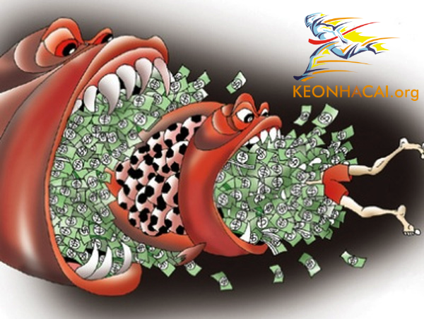 Chia sẻ kinh nghiệm cá cược dành cho dân newbie