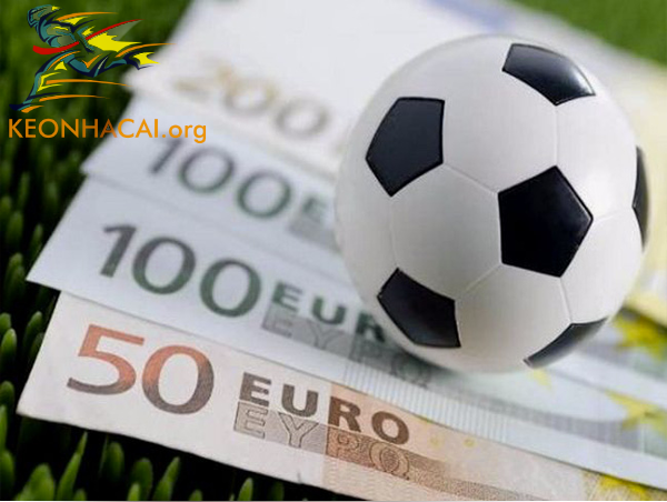 Chia sẻ kinh nghiệm cá cược dành cho dân newbie