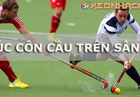 Tìm hiểu cách cá cược khúc côn cầu trên cỏ tại nhà cái hiện nay