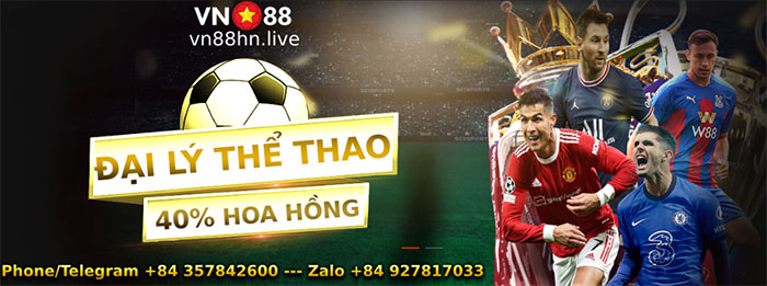 Tìm hiểu về chương tình đại Lý Vn88