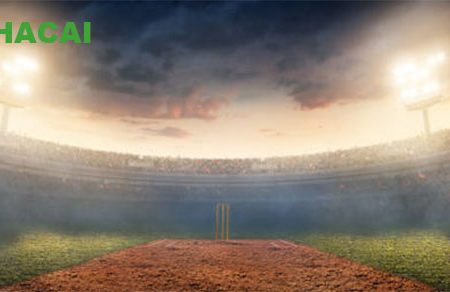 Khám phá cách tính biên lợi nhuận của nhà cái V9bet